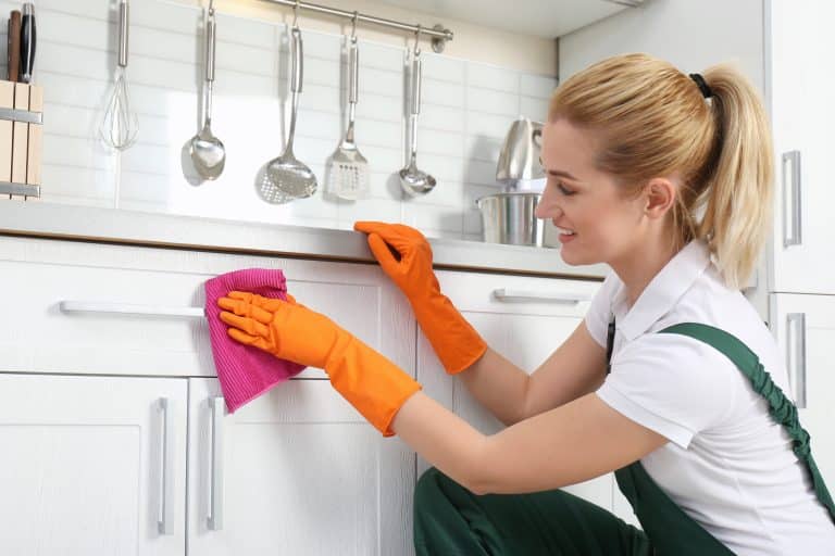 Female janitor performing kitchen cleaning services